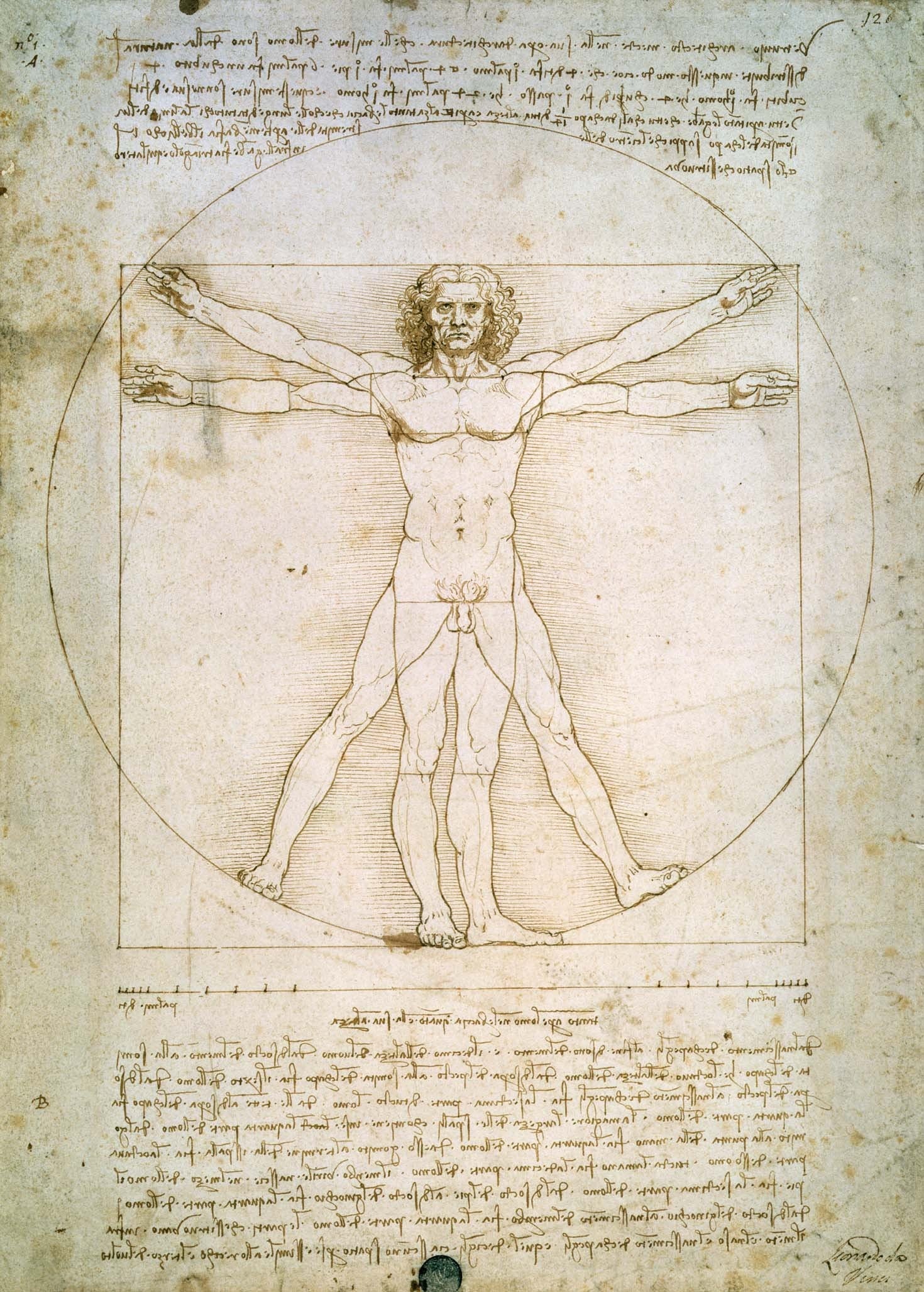 the-largest-online-retailer-of-da-vinci-the-proportions-of-the-human-figure-1492-wall-decal-sale_0.jpg