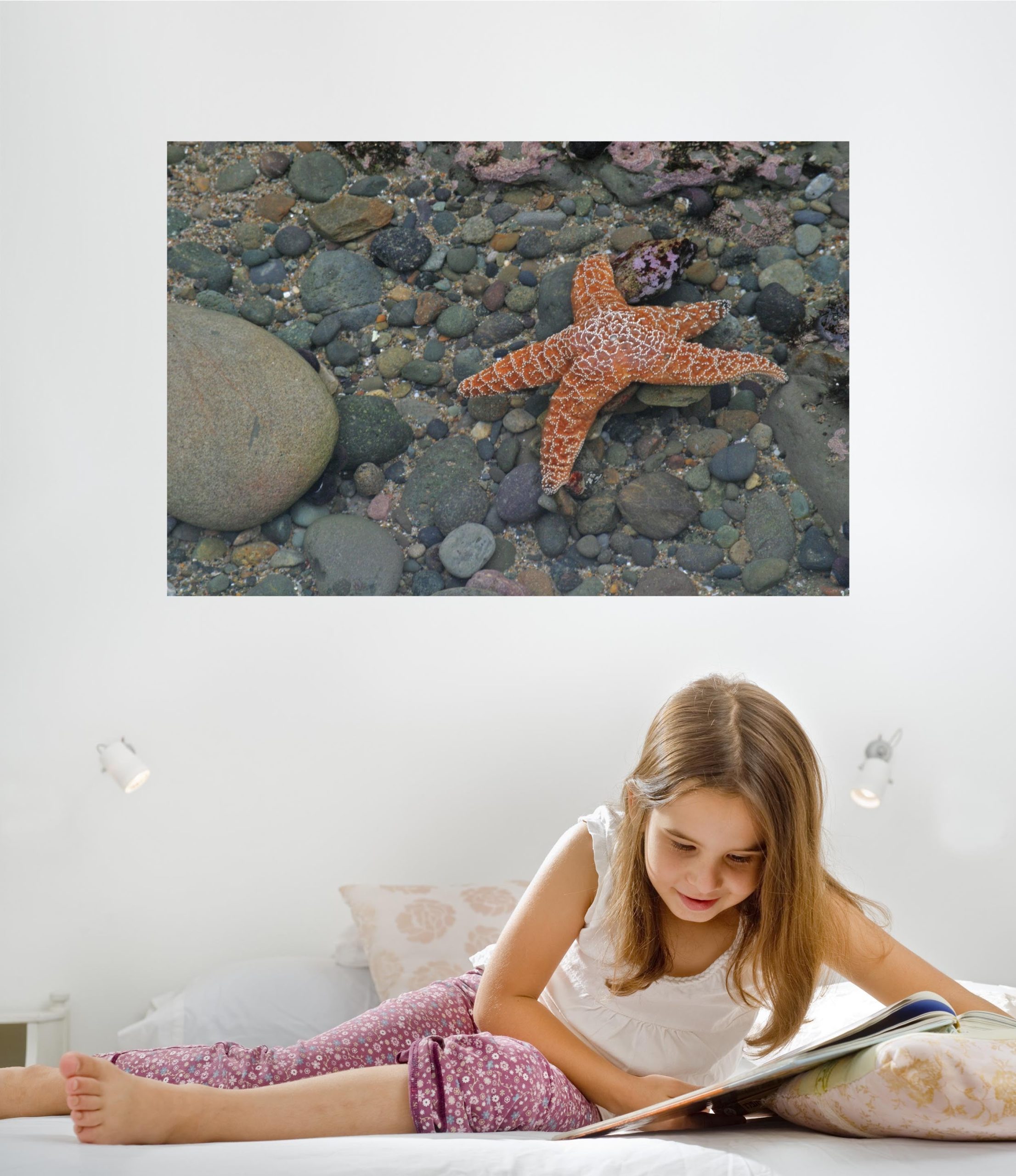 order-your-favorite-hogan-starfish-glossy-poster-supply_1.jpg