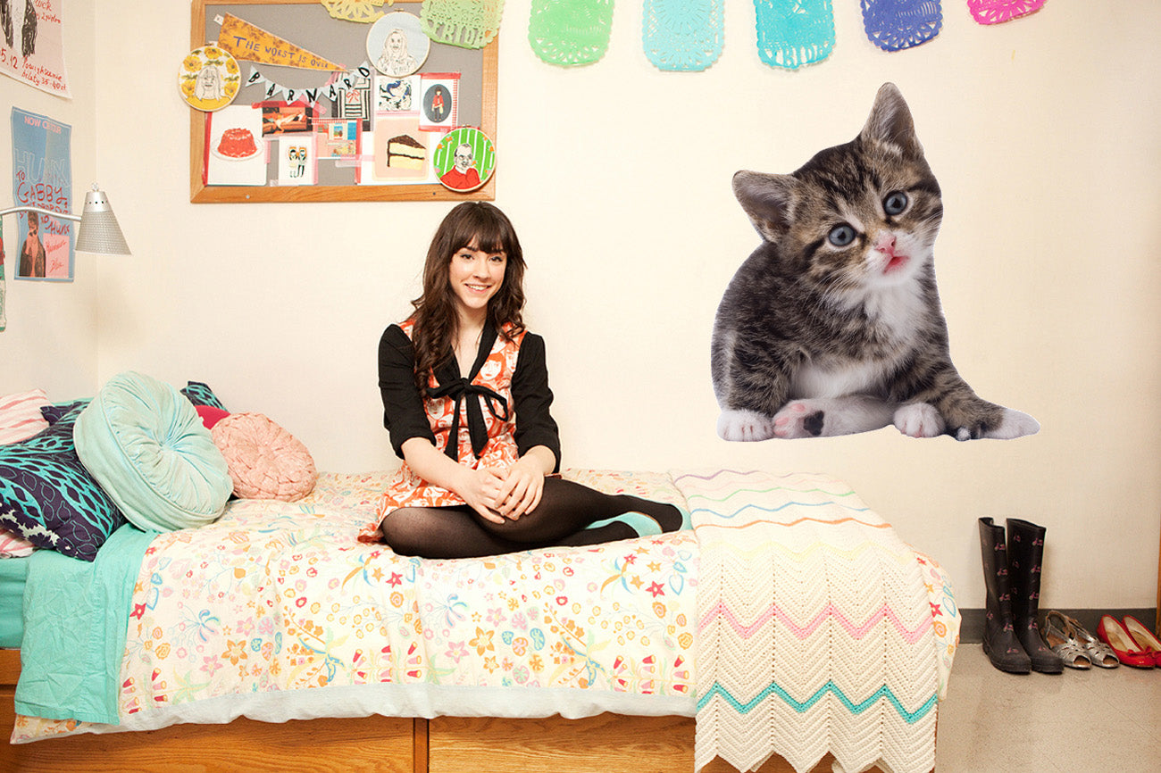 we-sell-the-best-cat-ii-wall-decal-cutout-sale_0.jpg