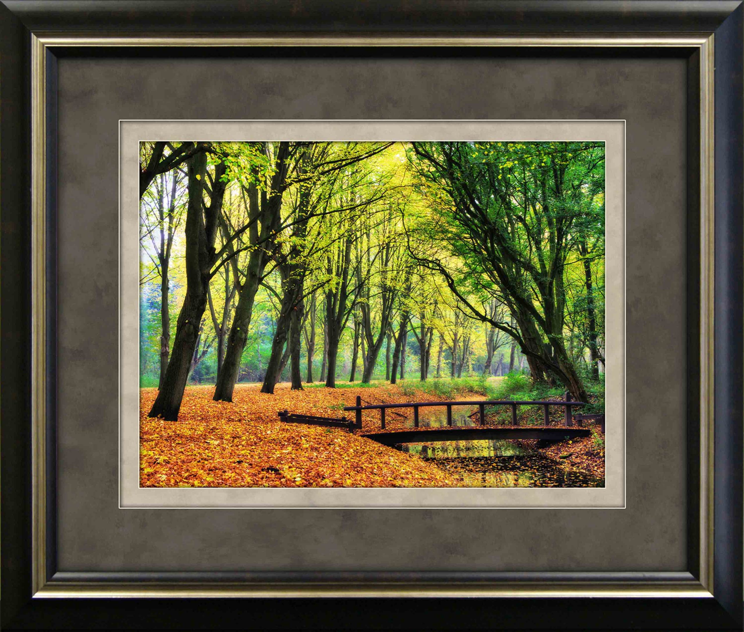 authentic-official-and-original-fall-tree-tunnel-framed-art-19-25×23-25-online-hot-sale_0.jpg