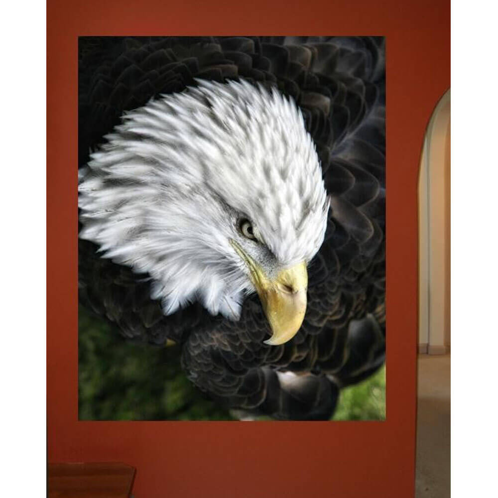 buy-your-new-batie-bald-eagle-wall-decal-for-sale_1.jpg