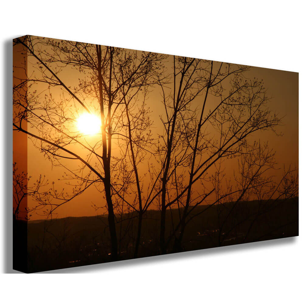 lets-order-arena-sunset-canvas-print-online-now_0.jpg