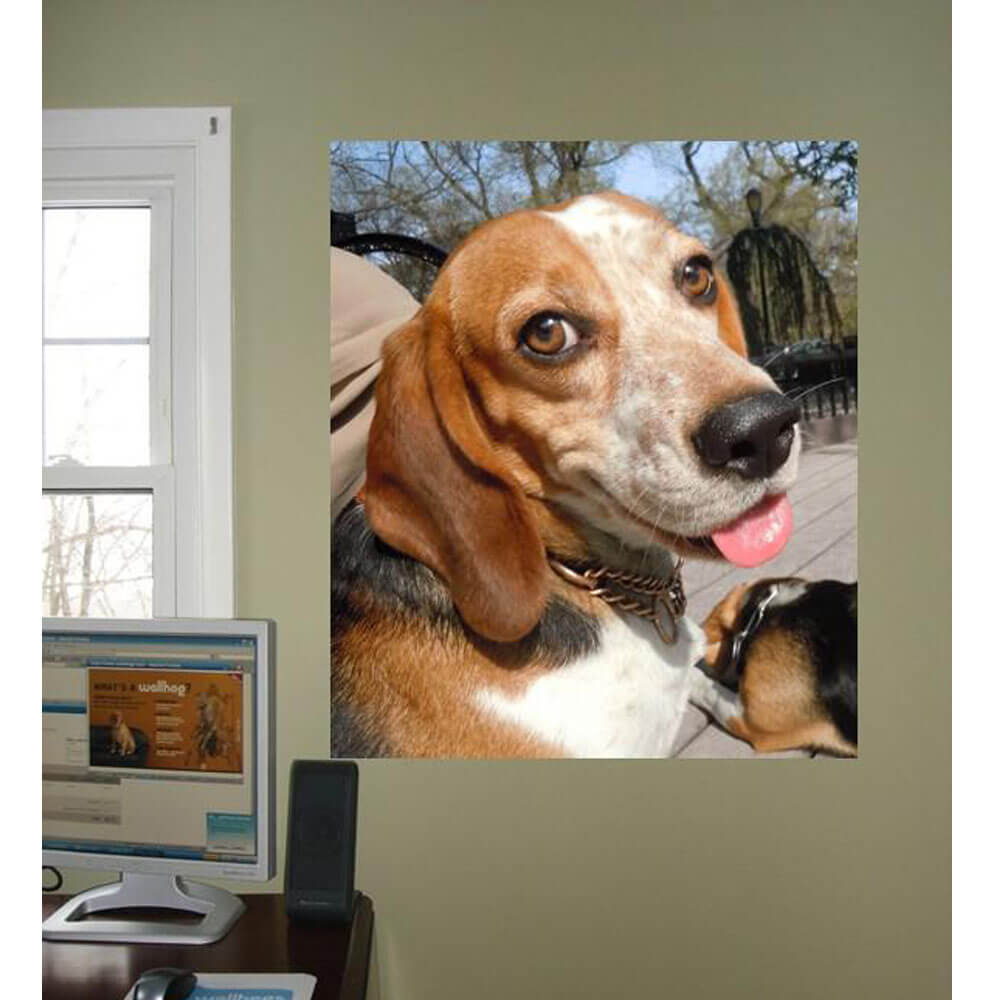 welcome-to-buy-animal-tourism-smiling-beagle-wall-decal-online-hot-sale_1.jpg