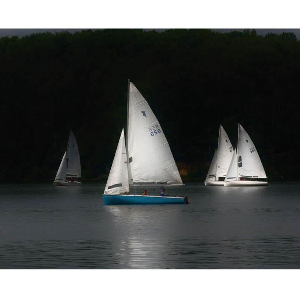 get-your-favorite-batie-sailboats-wall-decal-online-hot-sale_0.jpg