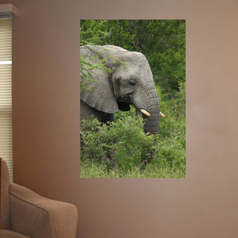 we-have-authentic-boer-elephant-wall-decal-online-now_1.jpg