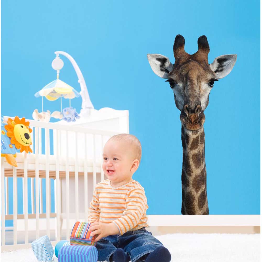 a-great-place-to-buy-boer-giraffe-wall-decal-online_1.jpg