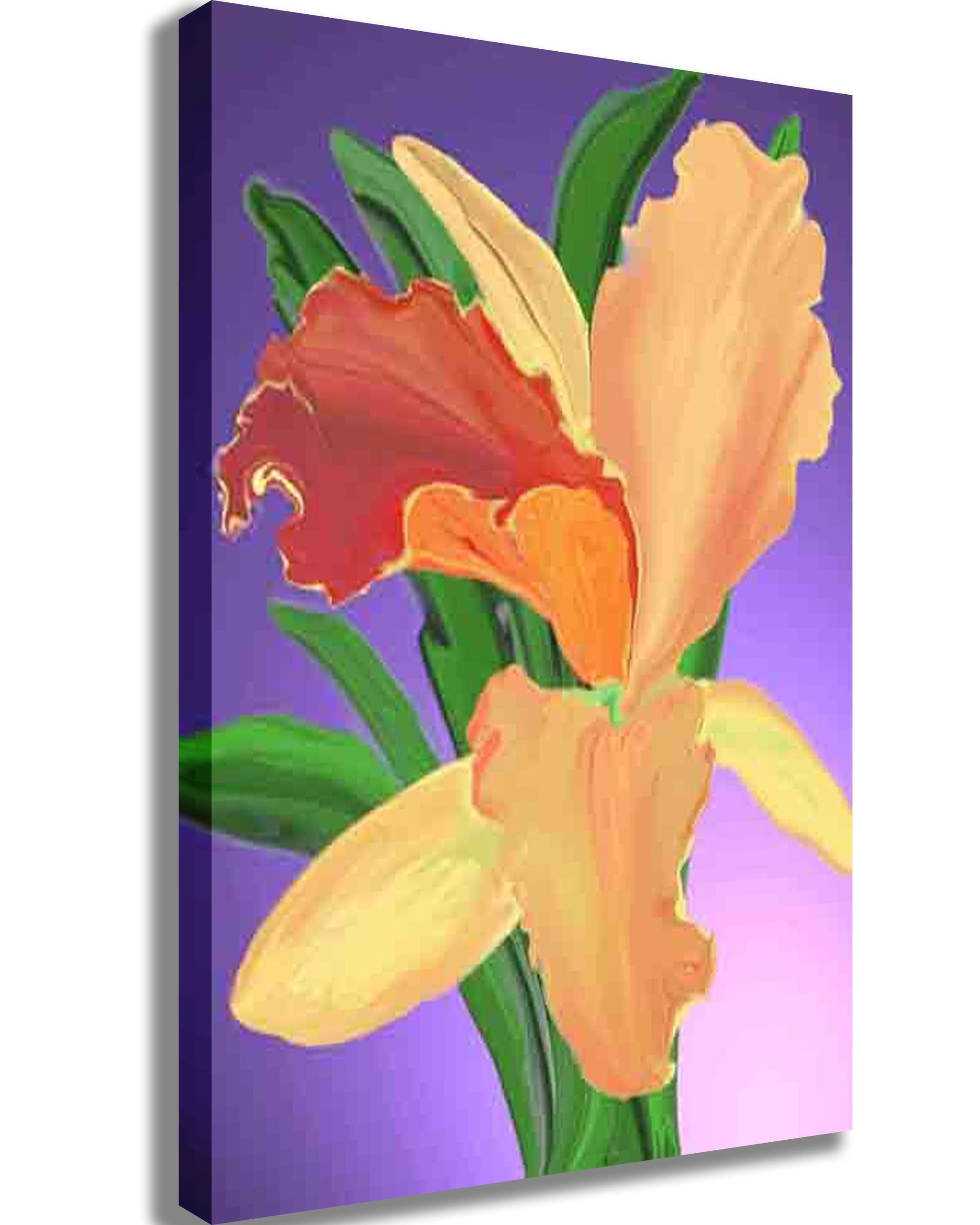 buy-the-best-pick-bantham-orchid-canvas-print-online-hot-sale_0.jpg