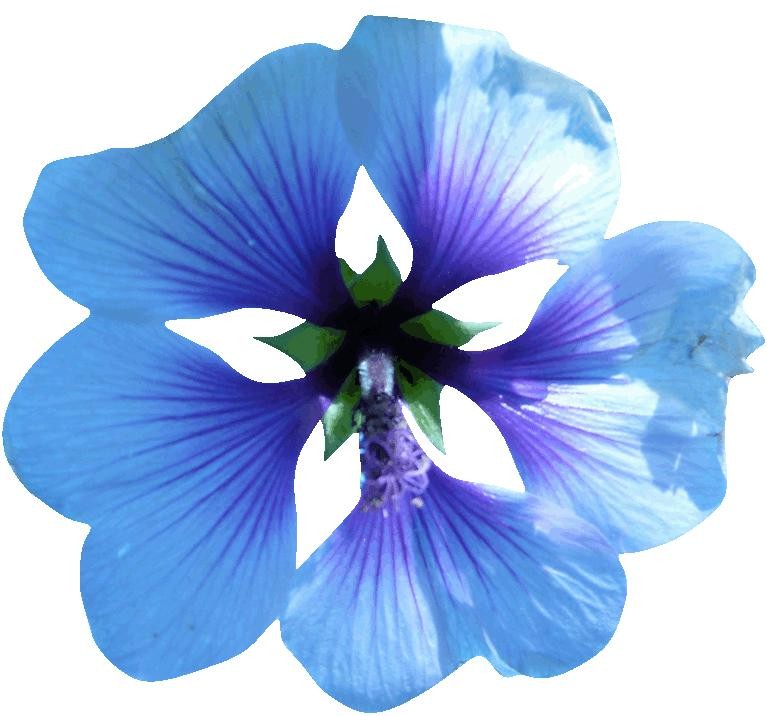 the-newest-online-retailer-of-hollis-blue-mallow-w-green-wall-decal-cutout-for-sale_0.jpg